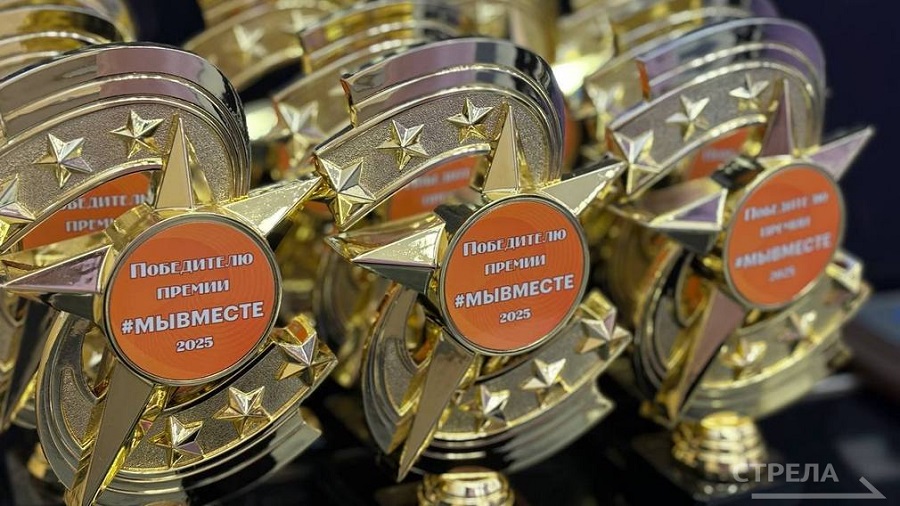 В Брянске наградили победителей  премии «Мы вместе»