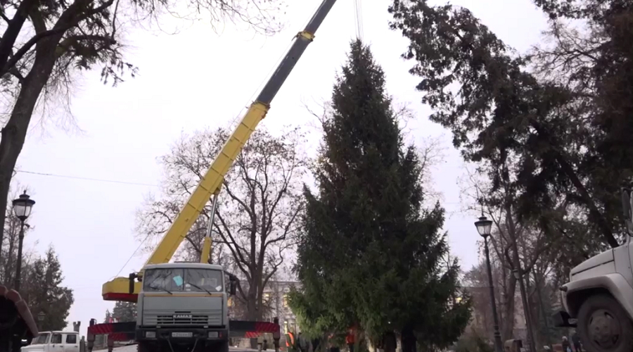 В Брянске установили главную  новогоднюю ёлку города