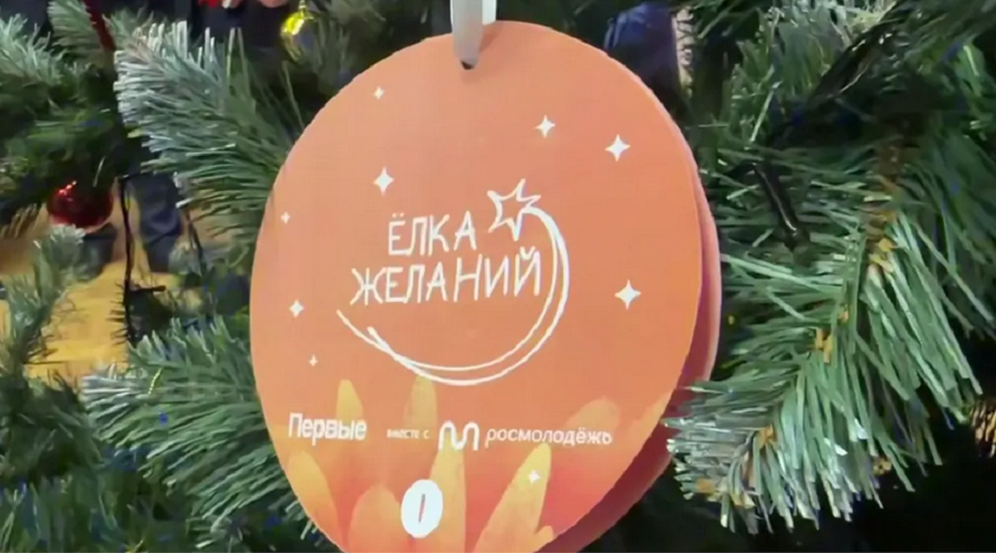 Губернатор Брянщины принял участие в благотворительной акции «Елка желаний»