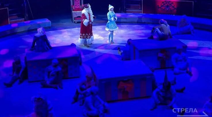 В Брянске для детей участников спецоперации проходит цирковое представление