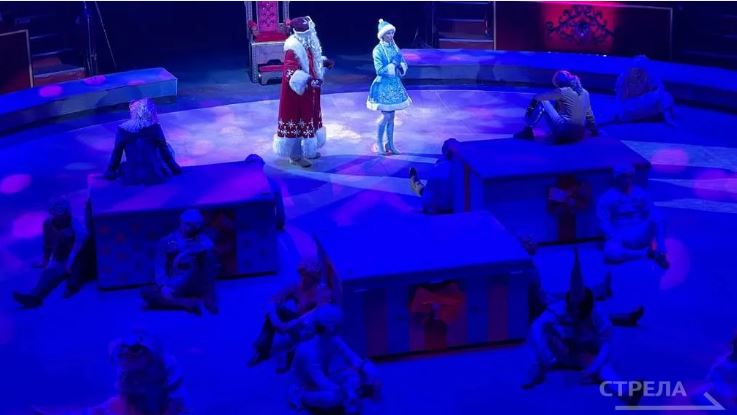 В Брянске для детей участников спецоперации проходит цирковое представление