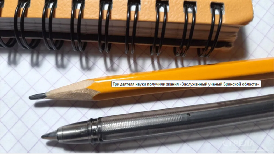 Трое ученых получили звание «Заслуженный ученый Брянской области»