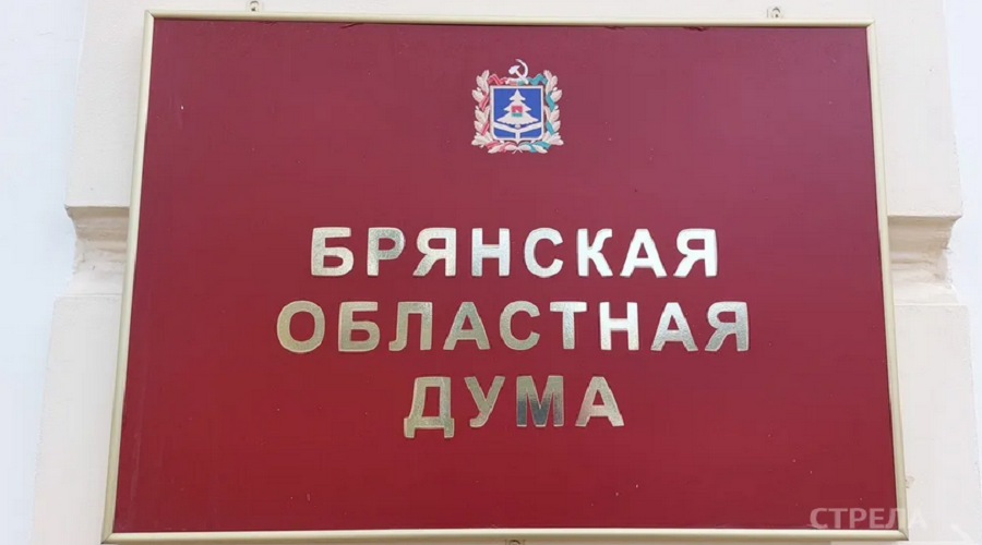 В Брянске депутаты областной думы назначили мировых судей