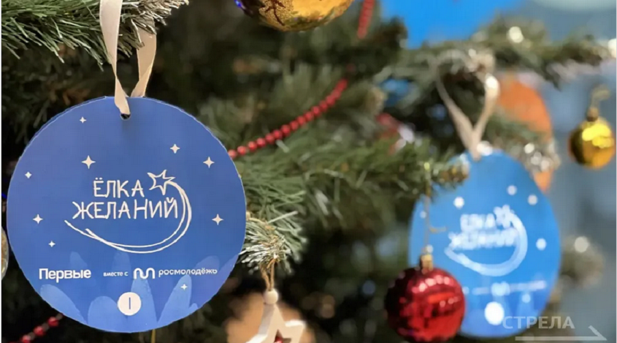 В Брянске на форуме Движения Первых губернатор Брянщины запустил акцию «Ёлка желаний»