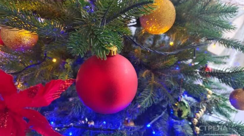 11 декабря в Брянской области стартует благотворительная акция «Ёлка желаний»