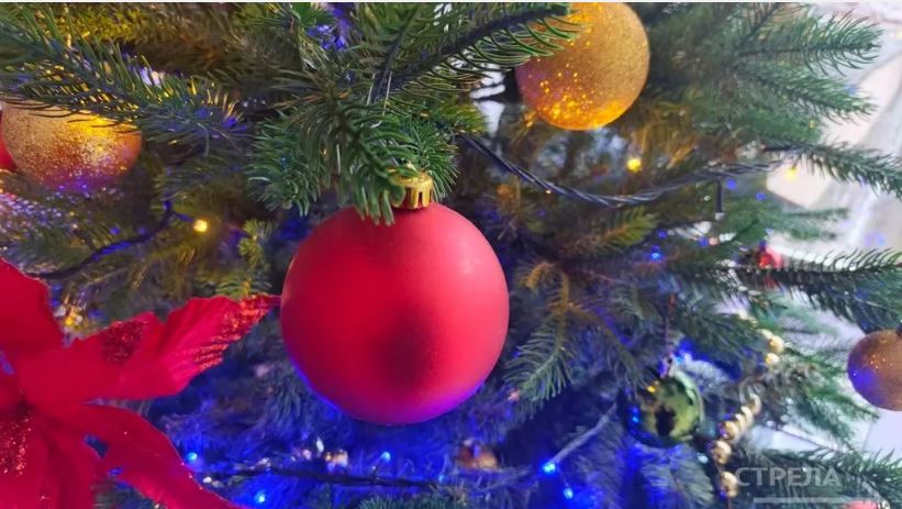 11 декабря в Брянской области стартует благотворительная акция «Ёлка желаний»