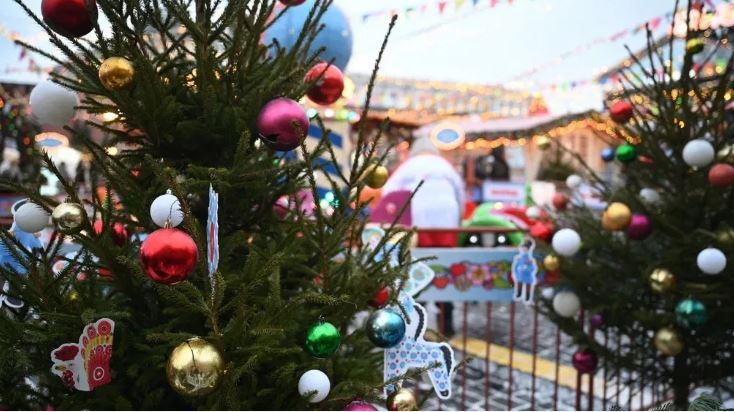 Дети из брянского приграничья посетили новогоднюю программу в Москве