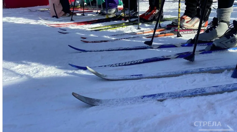 Жители Брянской области могут принять участие в «Лыжне России-2026»