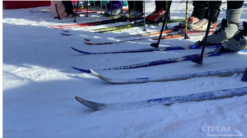 Жители Брянской области могут принять участие в «Лыжне России-2026»