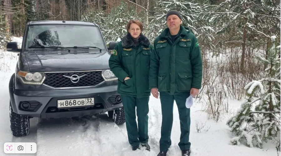 На Брянщине подвели итоги охраны новогодних деревьев