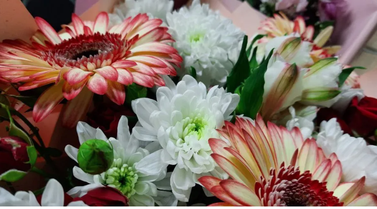 Президент РФ присвоил звание «Мать-героиня» жительнице Брянщины