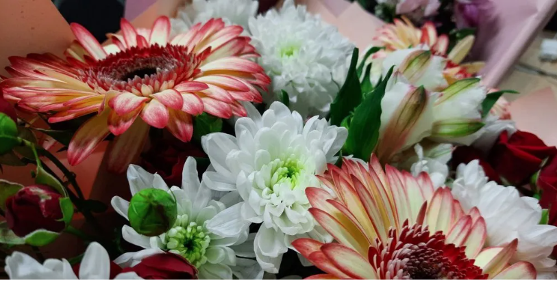 Президент РФ присвоил звание «Мать-героиня» жительнице Брянщины