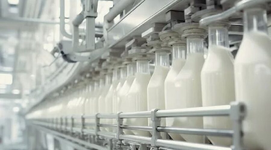 Производство молока в аграрных хозяйствах области выросло