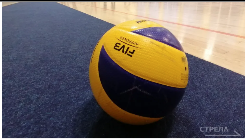 Брянские волейболистки досрочно вышли в полуфинал