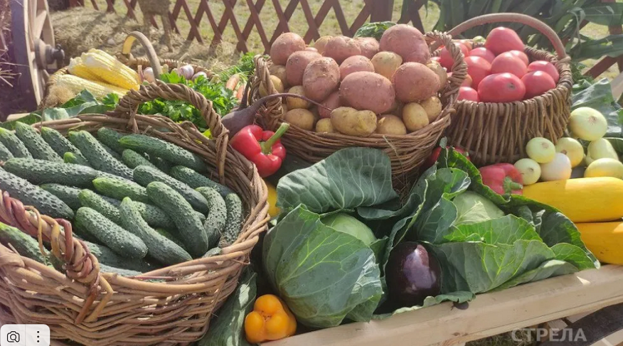 С 4 апреля в Брянской области стартуют ярмарки выходного дня