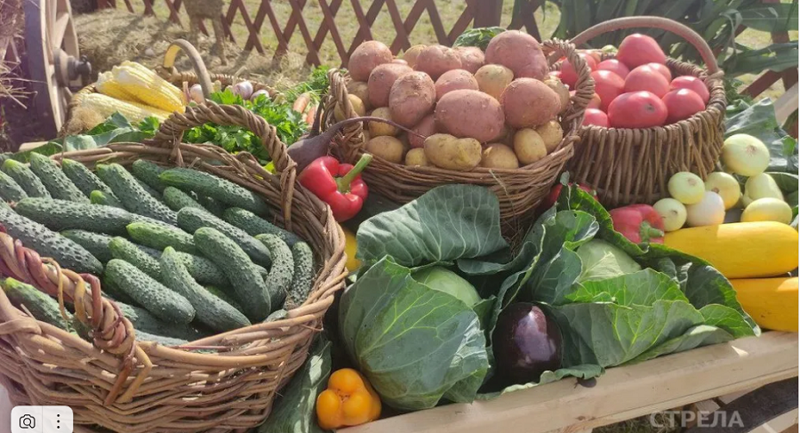 С 4 апреля в Брянской области стартуют ярмарки выходного дня