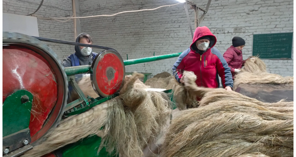 Предприятие «Брянский лен» получило второе дыхание