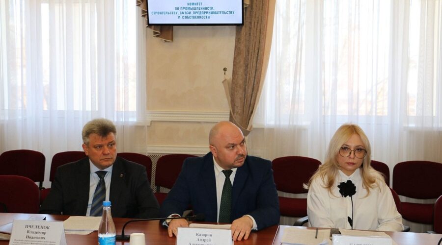 Заседание комитета областной Думы: итоги и планы