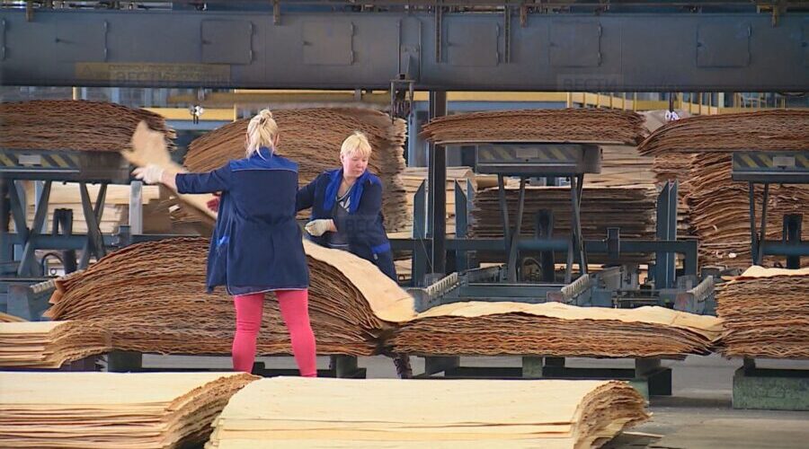 «Плюсы» свободной экономической зоны оценят три брянских предприятия