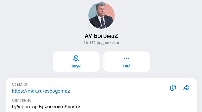 Все больше брянцев присоединяется к числу пользователей российского мессенджера MAX