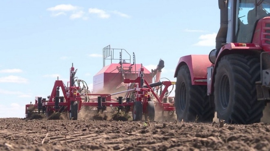 В Брянской области началась посадка раннего картофеля