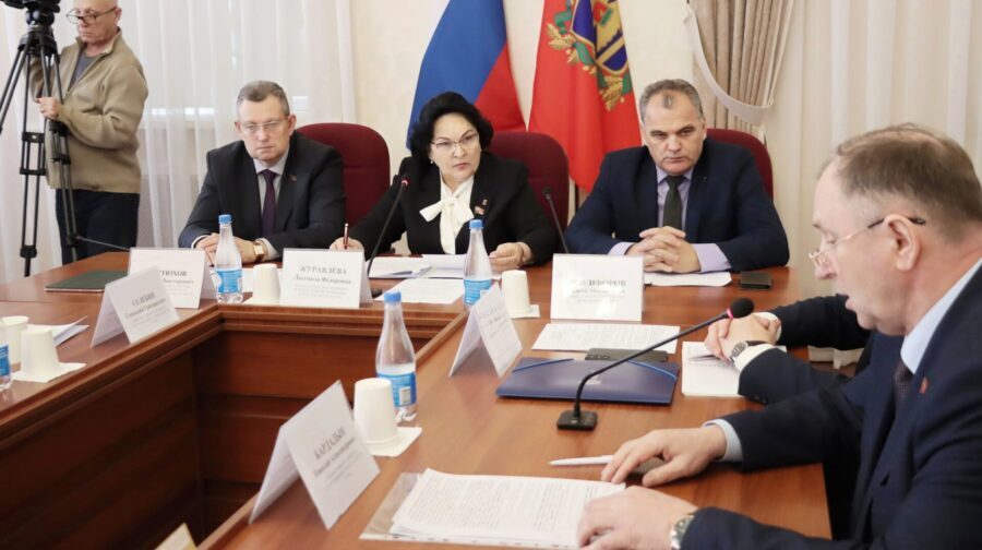 В Брянской облдуме обсудили вопрос организации летней оздоровительной кампании