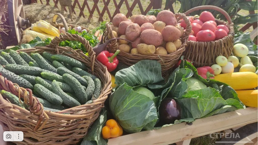 Ярмарки выходного дня и овощные базары стартуют  в Брянске