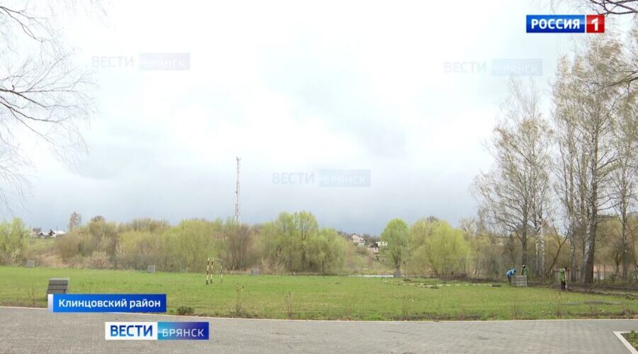 На Брянщине в селе Медведово проведут ремонт стадиона