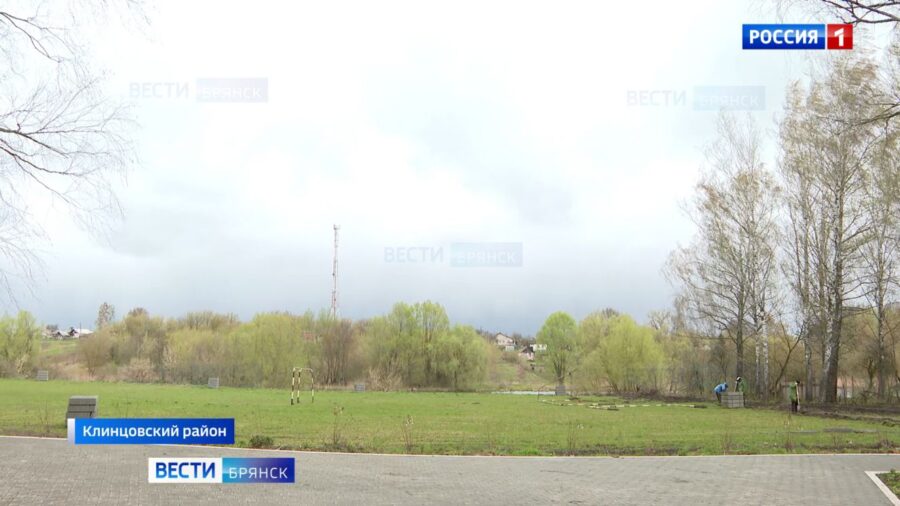 На Брянщине в селе Медведово проведут ремонт стадиона