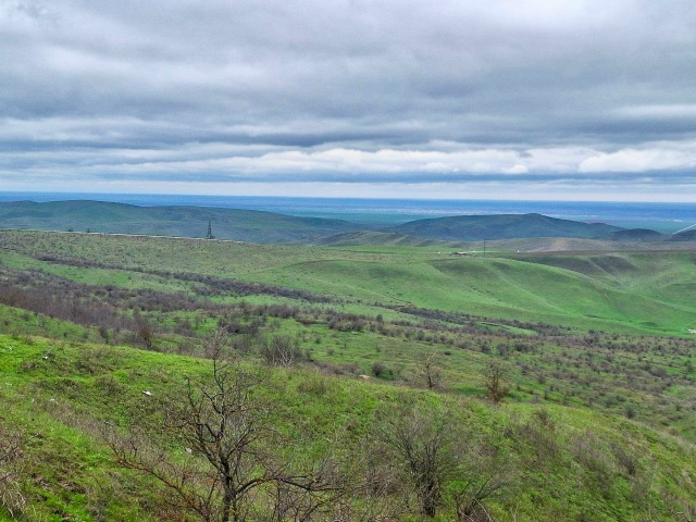 Брянская станция переливания крови обеспечила военный госпиталь