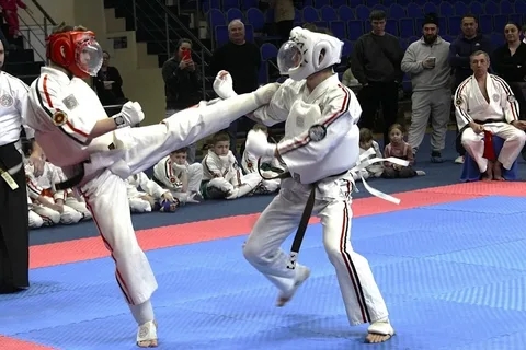 Брянцы триумфально выступили на чемпионате мира по Косики каратэ