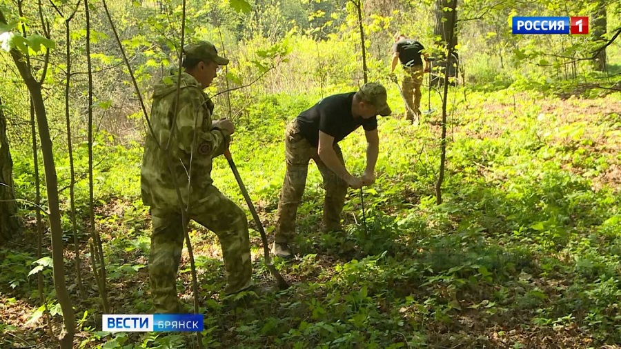 Под Брянском поисковики исследуют урочище «Лесные сараи»
