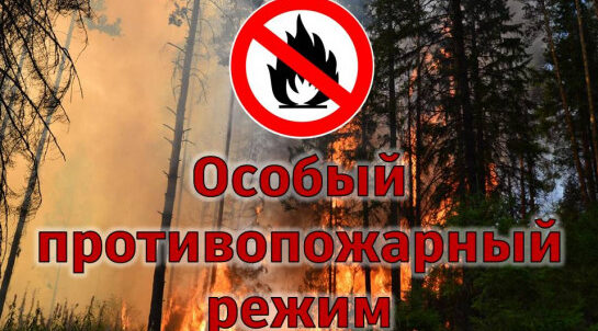 О введении особого противопожарного режима в лесах Брянской области