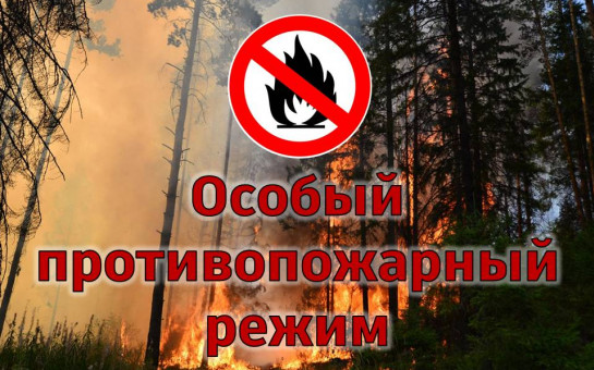 О введении особого противопожарного режима в лесах Брянской области