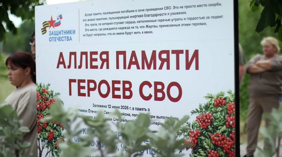 Фонд «Защитники Отечества» создал Рябиновую аллею в память о героях СВО