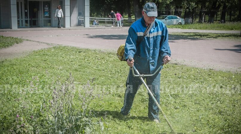 За выходные в Брянске скосили более 115 тысяч квадратных метров трав