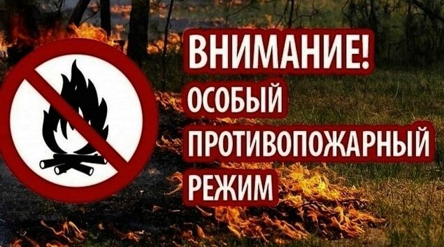 В лесах Брянской области введен особый противопожарный режим