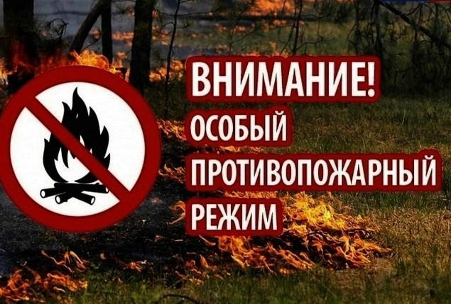 В лесах Брянской области введен особый противопожарный режим