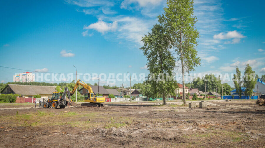 В брянском парке «Олимпийский» проведут озеленение