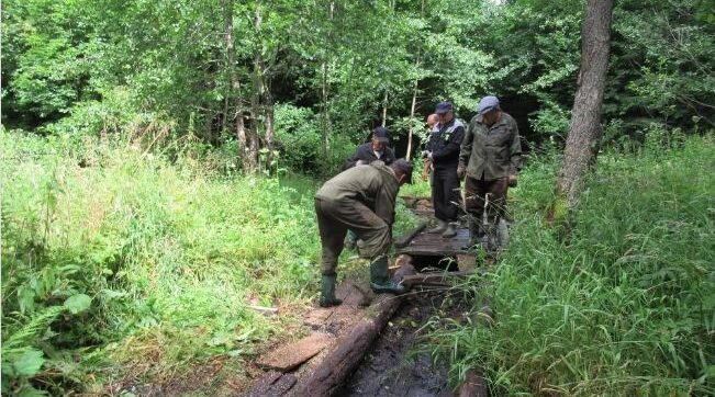 На Брянщине благоустраивают зону отдыха у родника «Три колодца»