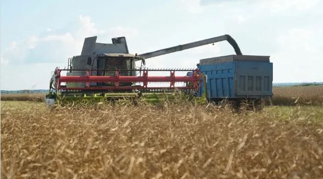 Брянские аграрии начали уборку урожая