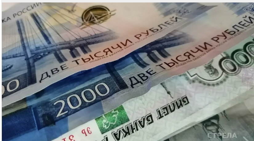 Для брянских многодетных семей появилась новая мера поддержки