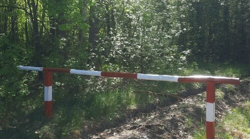 В Злынковском  лесничестве противопожарные мероприятия выполнены