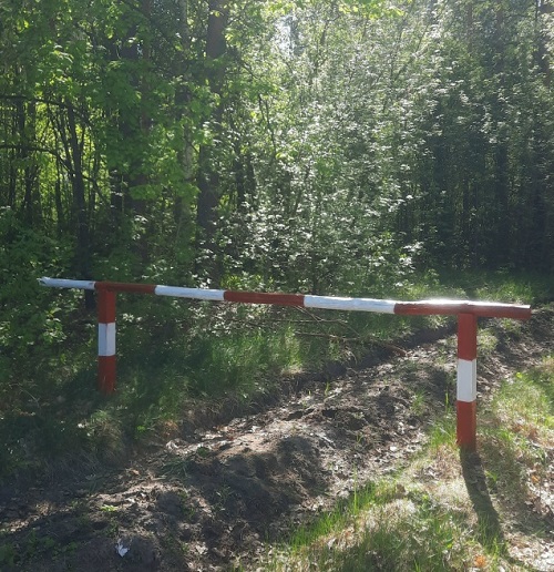 В Злынковском  лесничестве противопожарные мероприятия выполнены