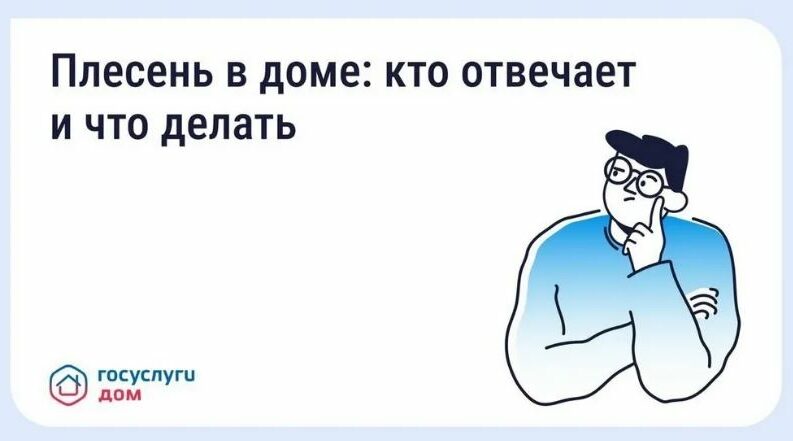 Жителям Брянского региона рассказали, как бороться с плесенью в квартире