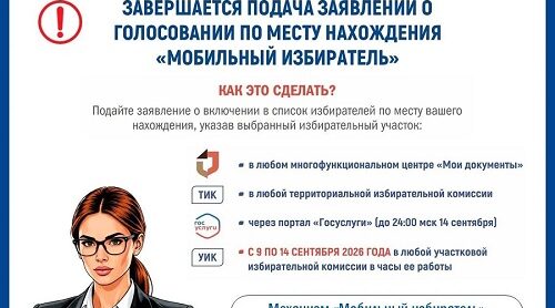 Брянский избирком информирует