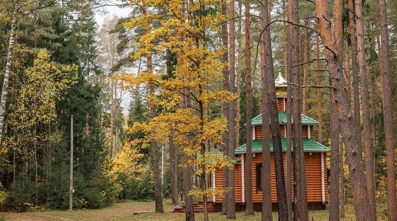 Брянские работники леса отмечают профессиональный праздник